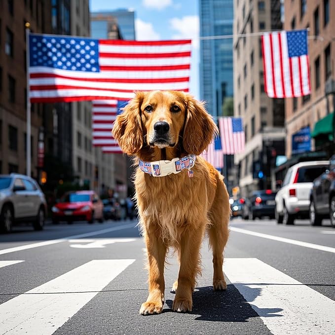 Lionet Paws Summer Dog Collar- Cute 4th of July Dog Collars with America Flag Pattern and Plastic Buckle, Light Adjustable Dog Collars for Medium Large Dogs