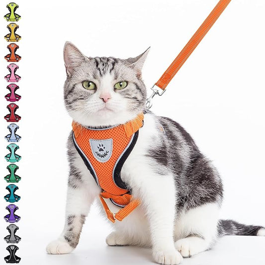PUPTECK Cat Harness and Leash Set Escape Proof Reflective Cat Walking Harness Adjustable Soft Breathable Mesh Vest for Small Pets, Orange, M