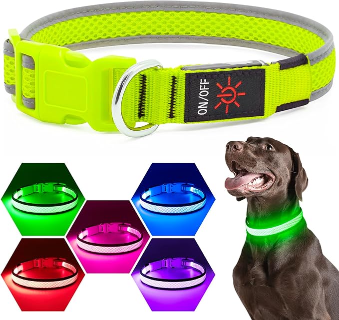 Flashseen LED Dog Collar, USB Rechargeable Light Up Dog Collar Lights, Adjustable Comfortable Soft Mesh Safety Dog Collar for Small, Medium, Large Dogs(Large, Neon Green)