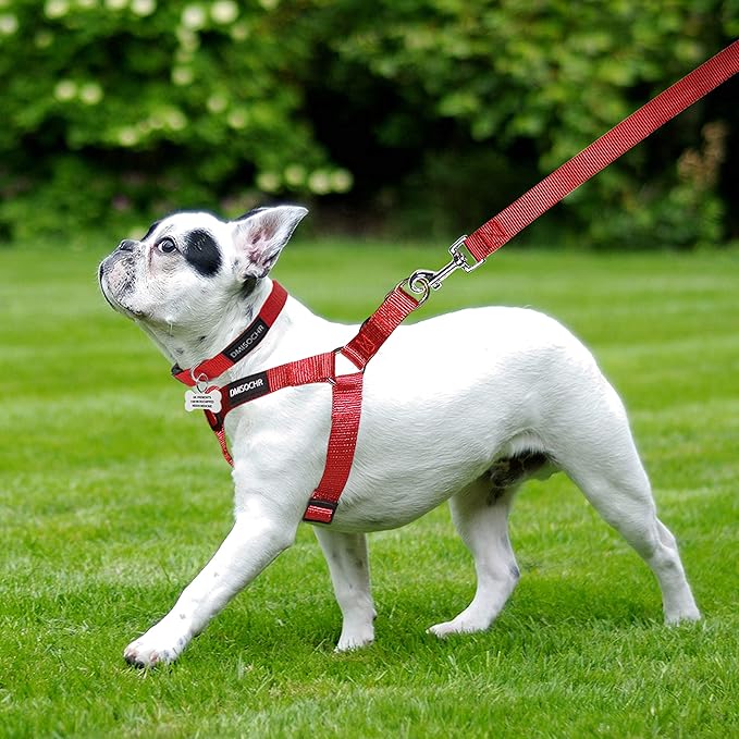 No Pull Dog Harness - Adjustable Step-in Harness & Leash Set for Small, Medium, Large Dogs - Escape Proof Soft Pet Harness for Walking, Training, Hiking, Outdoor Activities