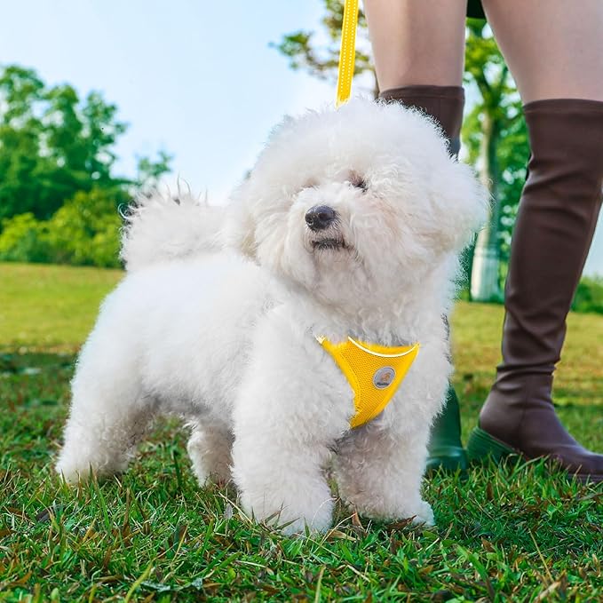 Dog Harness and Leash Set, No Pull Soft Mesh Pet Harness for Small Medium Dogs, Cats - Step in Adjustable Reflective Puppy Harness with Buckle and Double D-Rings - Yellow, XS