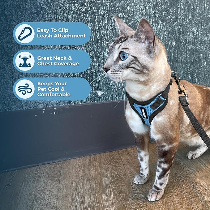 Voyager Step-in Lock Adjustable Cat Harness w. Cat Leash Combo Set with Neoprene Handle 5ft - Supports Small, Medium and Large Breed Cats by Best Pet Supplies - Baby Blue/Black Trim, XXS
