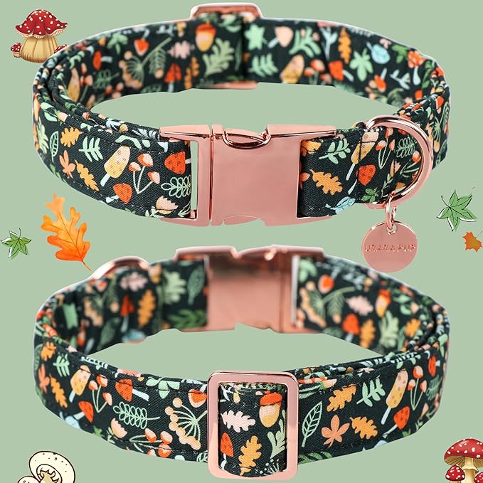 Daisy Fall Cotton Dog Collar with Metal Buckle Gift Autumn Collar for Small Medium Large Girls or Boys Dogs Cute Durable Comfortable Pet Collars
