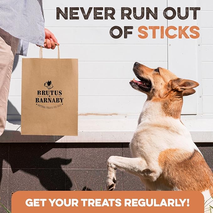 BRUTUS & BARNABY Thick Bully Sticks for Dogs – Odor Free Chews for Large, Medium & Small Breeds – Grain-Free, Rawhide-Free, Digestible Dog Treats – Grass-Fed Beef Chews for Aggressive Chewers