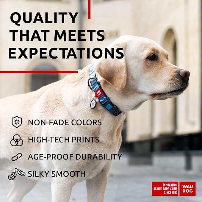 WAUDOG Nylon Dog Collar - Adjustable Dog Collar for Large Dogs, Small & Medium Dogs - Breakaway Puppy Collars for Large Breed Dogs - Boy & Girl Dog Collars with Durable Plastic Buckle and QR Dog Tag