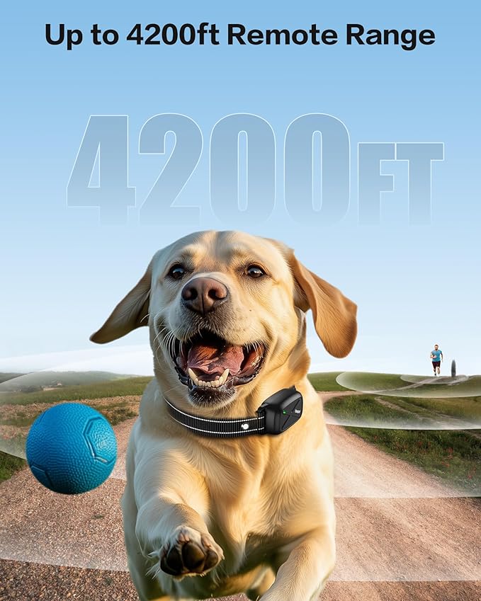 Dog Shock Collar with Remote - Dog Training Collar Waterproof, Rechargeable E Collar for Dogs Training with Vibration, Electric Shock, Beep, Security Lock, Shock Collar for All Breeds, Size