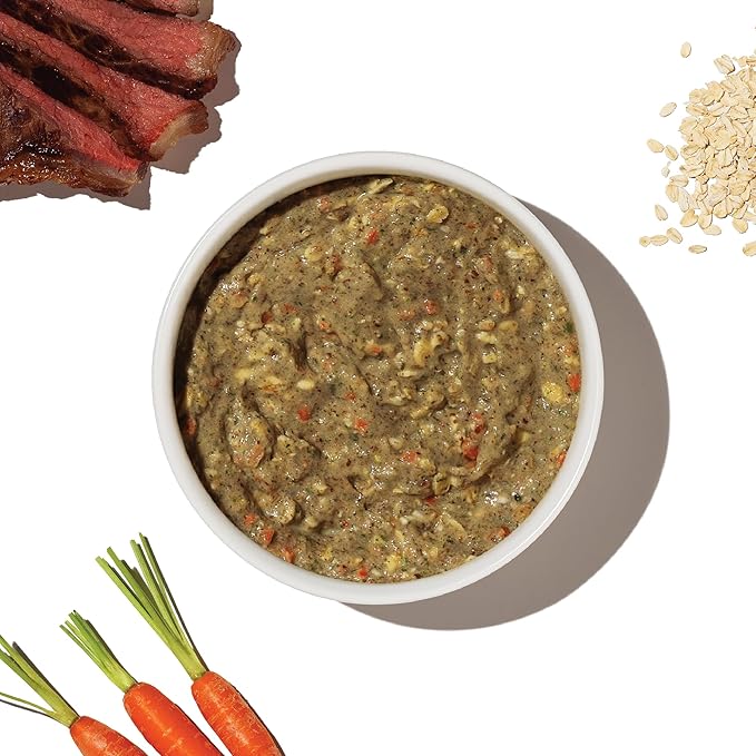 The Honest Kitchen Dehydrated Whole Grain Beef Dog Food, 10 lb Box