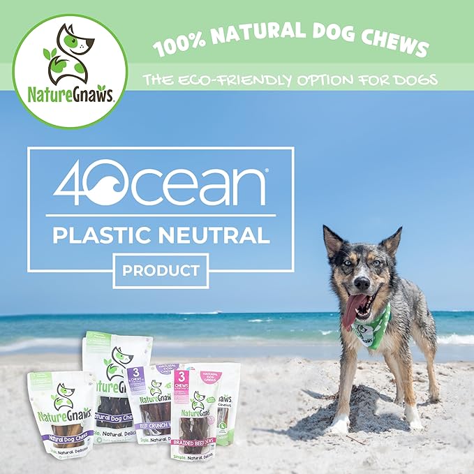 Nature Gnaws Beef Chew Sticks for Dogs 1LB - Premium Natural Dog Treats - Limited Ingredient Long Lasting Rawhide Free Dental Chews