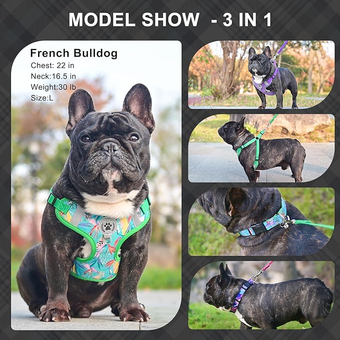 BEAUTYZOO Step in Dog Harness Collar and Leash Set for Small Medium Large Dogs, No Pull No Choke Puppy Harness, Soft Mesh Reflective Pet Padded Vest Adjustable for Doggie Girl or Boy,French Bulldog