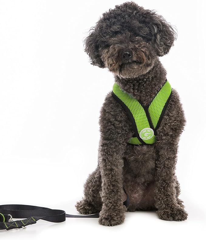 Gooby Comfort X Head In Harness - Green, Large - No Pull Small Dog Harness, Patented Choke-Free X Frame - Perfect on the Go Dog Harness for Medium Dogs No Pull or Small Dogs for Indoor and Outdoor Use