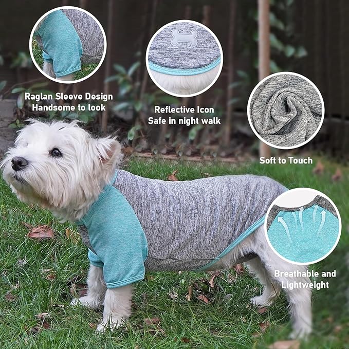 KYEESE 2 Pack Dog Shirts Raglan Sleeve Quick Dry Lightweight Stretchy Dog T-Shirts with Reflective Label Puppy Shirts for Small Dogs Sun Protection, Medium, Grey+Blue