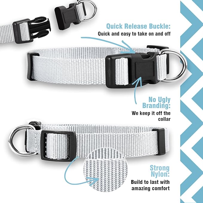 Native Pup Basic Nylon Dog Collar, Adjustable for Small, Medium, Large pet and Puppies Accessories, Cute Colors for Male, Female, boy, Girl, Puppy (Medium, White)