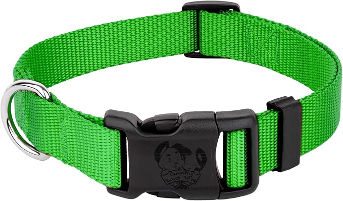 Country Brook Petz - American-Made Dog Collar for Large, Medium, and Small Dogs and Puppies - Deluxe Heavy Duty Nylon in 33 Dazzling Colors (Extra Large, 1 Inch Wide, Hot Lime Green)