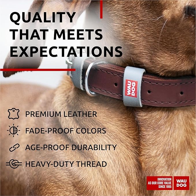 WAUDOG Long Lasting Leather Dog Collar for Large Dogs, Medium & Small Dogs - Adjustable Classic Puppy Collars for Large Breed Dogs - Boy & Girl Dog Collars with Durable Buckle, D-Ring & QR Dog Tag