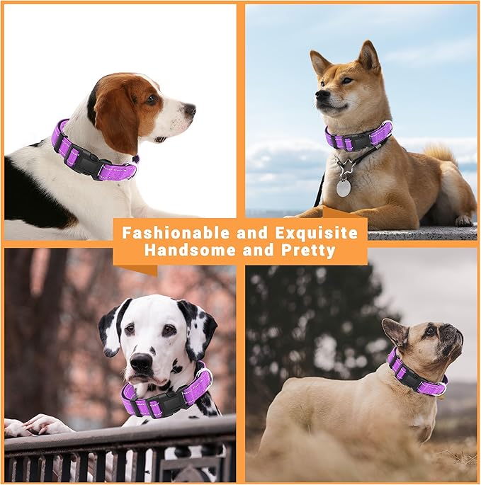 2 Pack Reflective Dog Collar with Safety Locking Buckle, Adjustable Soft Breathable Comfortable Nylon Pet Collar for Small, Medium and Large Dogs, Rosered, M