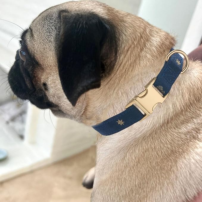 Cotton Dog Collar with Metal Buckle Adjustable Soft Dog Collars with Gold Star for Small Medium Large Dogs,Dark Blue,Medium