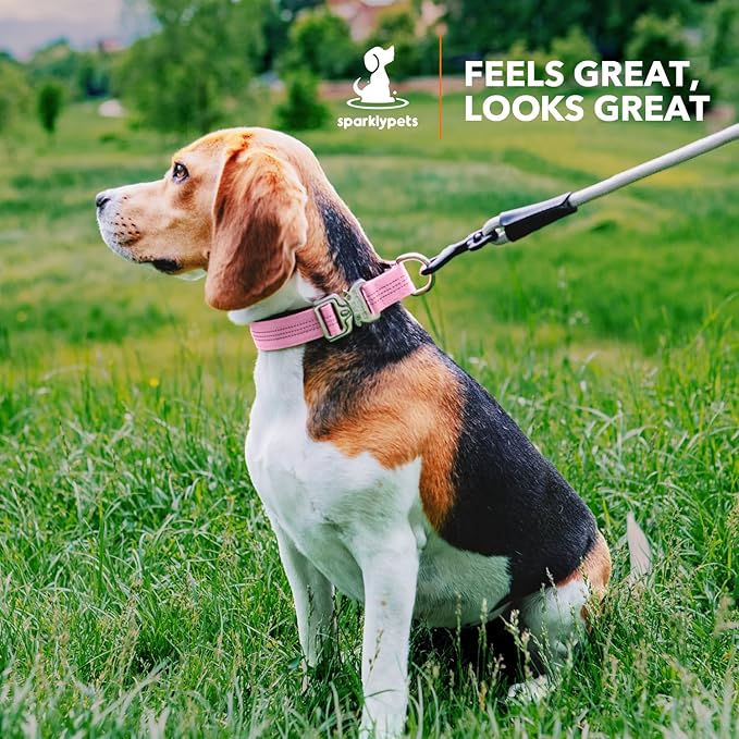 SparklyPets Small Dog Collar with Quick Release Buckle & AirTag Holder – Collars for Female Dogs & Boys with Reflective Stripes & Soft Lining – Perfect for Small & Medium Breeds