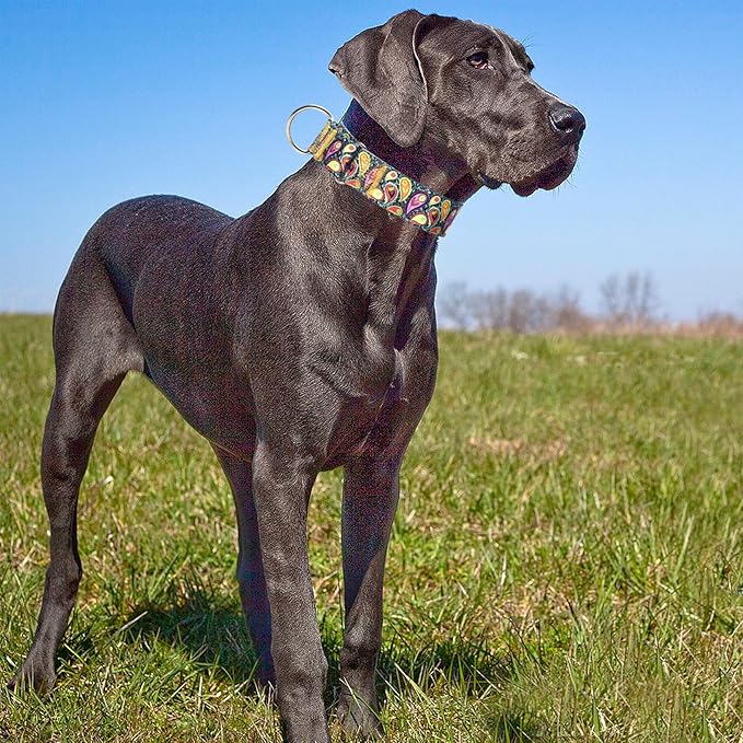 Martingale Dog Collar 1.5 Inch Wide - Heavy Duty Adjustable No-Pull Training Collar for Medium/Large Dogs, Cashew Flower Design Durable Nylon Collar (XL)
