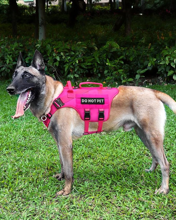 Tactical Dog Harness - PETNANNY Dog Harness Service Dog Vest for Large Breed Dog, Hook and Loop Panel for Service Dog Patchs, Work Dog MOLLE Vest with Handle for Walking Hiking Training(Pink,L)