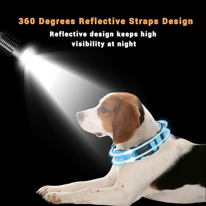 2 Pack Reflective Dog Collar with Safety Locking Buckle, Adjustable Soft Breathable Comfortable Nylon Pet Collar for Small, Medium and Large Dogs, SkyBlue, XS