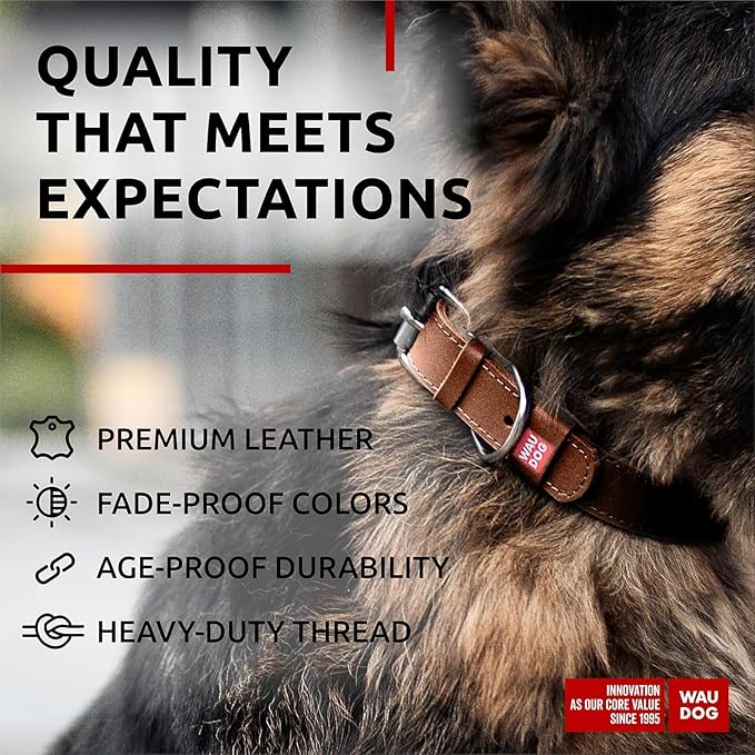 WAUDOG Long Lasting Leather Dog Collar for Large Dogs, Medium & Small Dogs - Adjustable Classic Puppy Collars for Large Breed Dogs - Boy & Girl Dog Collars with Durable Buckle, D-Ring & QR Dog Tag