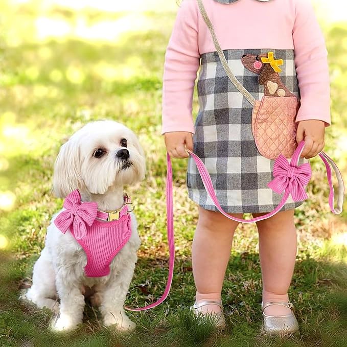 Didog Cute Small Dog Harness Collar & Leash Set, Adjustable Dog Collars and Leashes with Bowtie, Breathable Soft Mesh Padded Dog Vest for Puppies Small Dogs & Cats Walking, Hot Pink, S