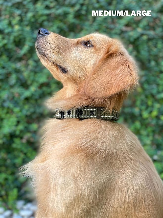 Heavy Duty Dog Collar With Handle | Ballistic Nylon Heavy Duty Collar | Padded Reflective Dog Collar With Adjustable Stainless Steel Hardware | Convenient Sizing for All Breeds