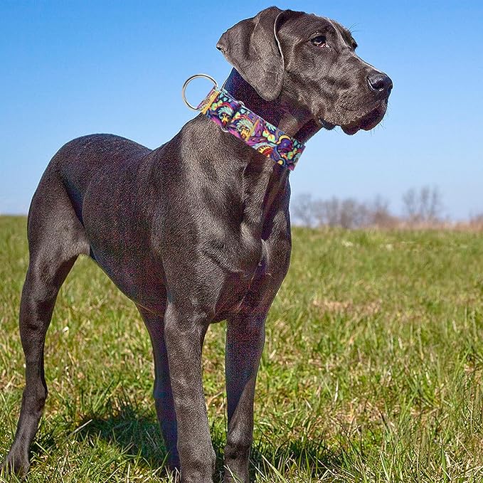 Martingale Dog Collar No-Pull Adjustable for Medium/Large Dogs - Heavy Duty 1.5" Wide Training Collar with Aztec Tribal Pattern, Durable Nylon Secure Fit (M)
