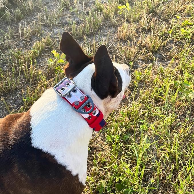 ADITYNA Heavy Duty Dog Collar for Large Dogs - Camo Red Blue Collar with Handle for Training, and Walking - Wide, Thick, Tactical, Soft Neoprene Padded