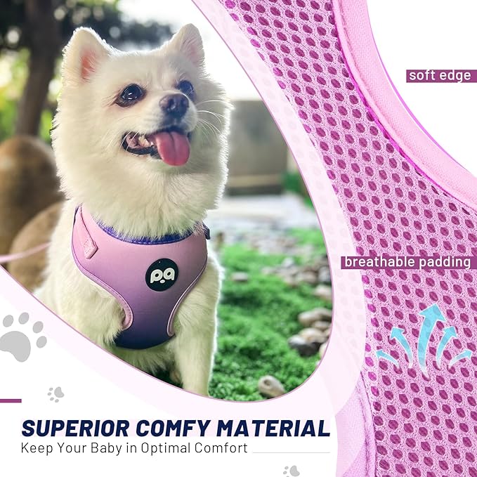 QQPETS Dog Harness Collar Leash with Poop Bag Holder 4 PCS Set, Adjustable No Pull Soft Mesh Padded Vest for Small Medium Large Pet Puppy Outdoor Walking (Gradient Purple, L (Chest 22.4”-32.6”))