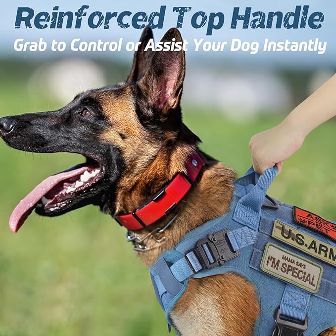 rabbitgoo Tactical Dog Harness for Large, Heavy Duty Pet Harness with Handle, No-Pull Service Vest Large Breed, Adjustable Military Dog Vest for Training Hunting Walking, Blue, L