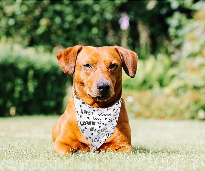 Realeaf Wedding Dog Bandanas 2 Pack, Reversible Love Pet Scarf for Boy and Girl, Premium Durable Fabric, Black and White Bandana for Small Medium Large and Extra Large Dogs (Small)