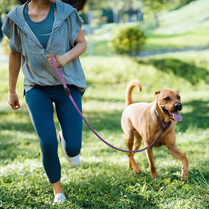 TwoEar Dog Leash Dog Slip Rope Leash 1/2" x 6FT Dog Training Leash Heavy Duty Strong Slip Lead Highly Reflective Threads for Small Medium and Large Dogs(Purple)