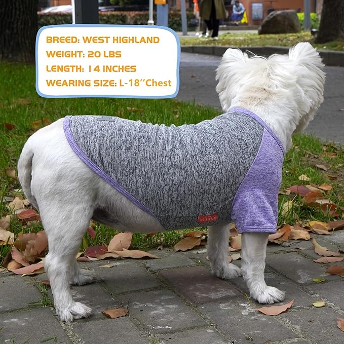 KYEESE 2 Pack Dog Shirts Quick Dry for Medium Dogs Breathable Lightweight Stretchy Dog T-Shirt with Reflective Label Raglan Sleeve Pet Clothes UV Protection, Purple+Grey, 2XL
