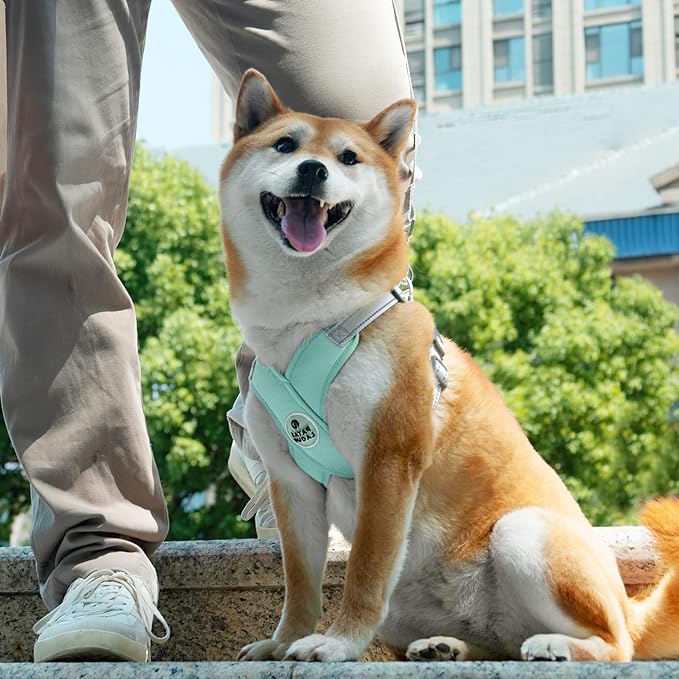 Patas Lague Dog Harness with Leash Set Adjustable Soft Padded Step-in Dog Vest No Choke No Pull Reflective for Small Medium Pets with Poop Bags and Dispenser, Solid and No-chew, Green M