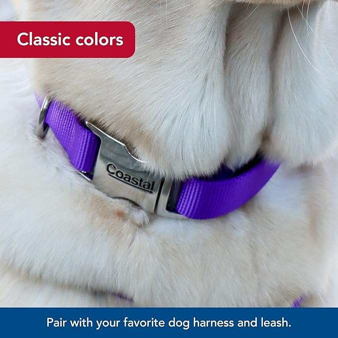 Coastal Pet Adjustable Dog Collar with Metal Buckle - Comfortable Fade-Resistant Dog Collar with Snap Lock - Perfect for Walking & Tie Outs - Purple - 3/4" x 14" - 20"