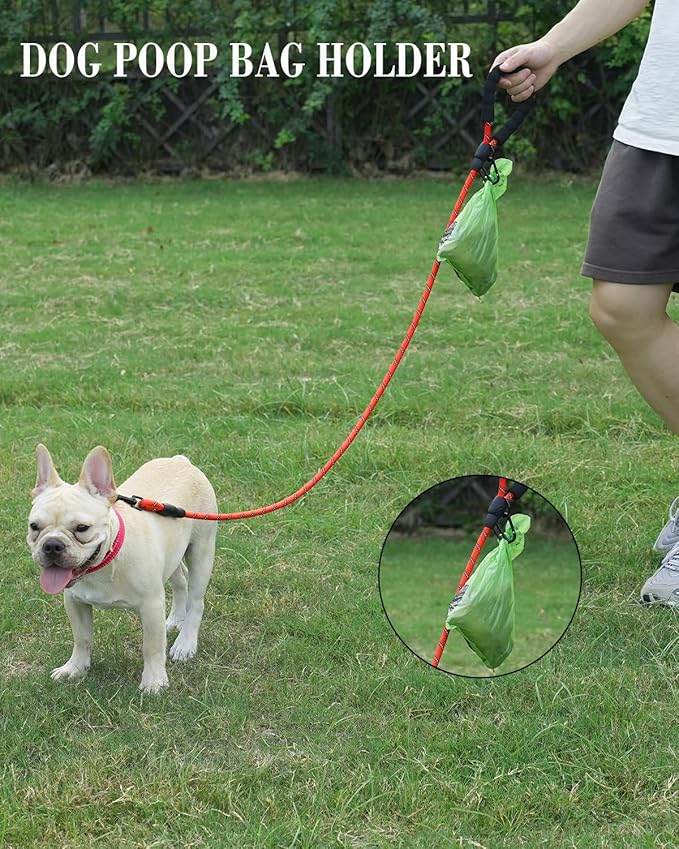 Joytale Reflective Dog Leash, Heavy Duty Nylon Rope with Poop Bag Holder, Highly Reflective Threads Leashes for Small Dogs, Red, 6'×3/8''