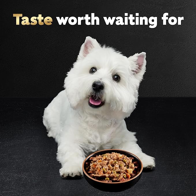 Cesar Home Delights Adult Wet Dog Food, Hearty Chicken & Noodle Dinner in Sauce, 3.5 oz. (24 Count, Pack of 1)