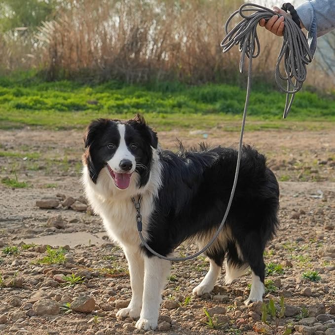 NTR Long Dog Leash, 20FT Check Cord with Swivel Lockable Hook and Comfortable Padded Handle for Reflective Dog Leash for Small Medium and Large Dogs Walking Training Hiking Camping Playing