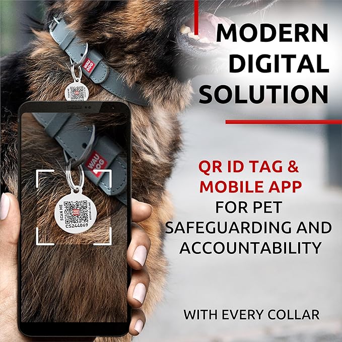 WAUDOG Long Lasting Leather Dog Collar for Large Dogs, Medium & Small Dogs - Adjustable Classic Puppy Collars for Large Breed Dogs - Boy & Girl Dog Collars with Durable Buckle, D-Ring & QR Dog Tag