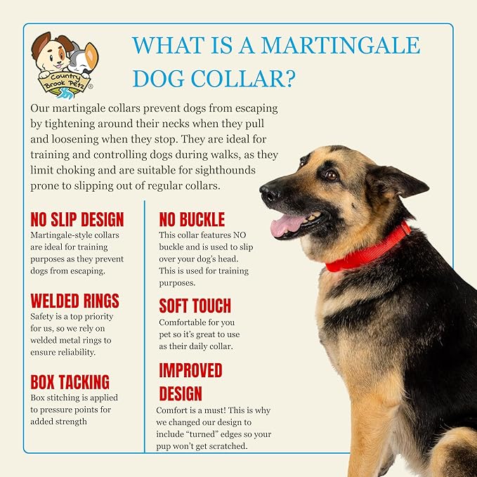 Country Brook Petz Martingale Dog Collar - Heavy-Duty Training Collar with No Buckle - Service Dog Collar for All Pups - Vibrant, Colorful Collection (Hot Orange, 1 Inch, Large)