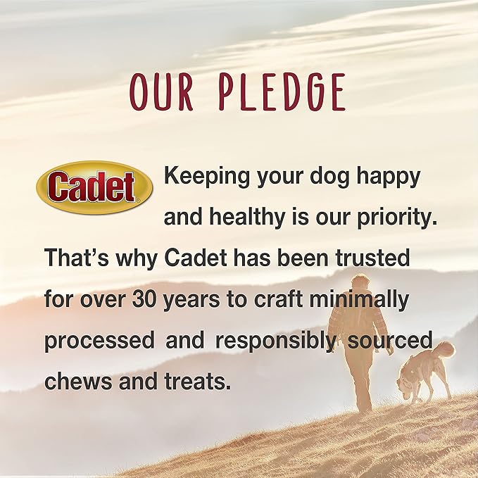 Cadet Bully Sticks for Extra-Small Dogs, All-Natural Beef Pizzle, Rawhide-Free Long-Lasting Dog Chews for Aggressive Chewers, 8 oz