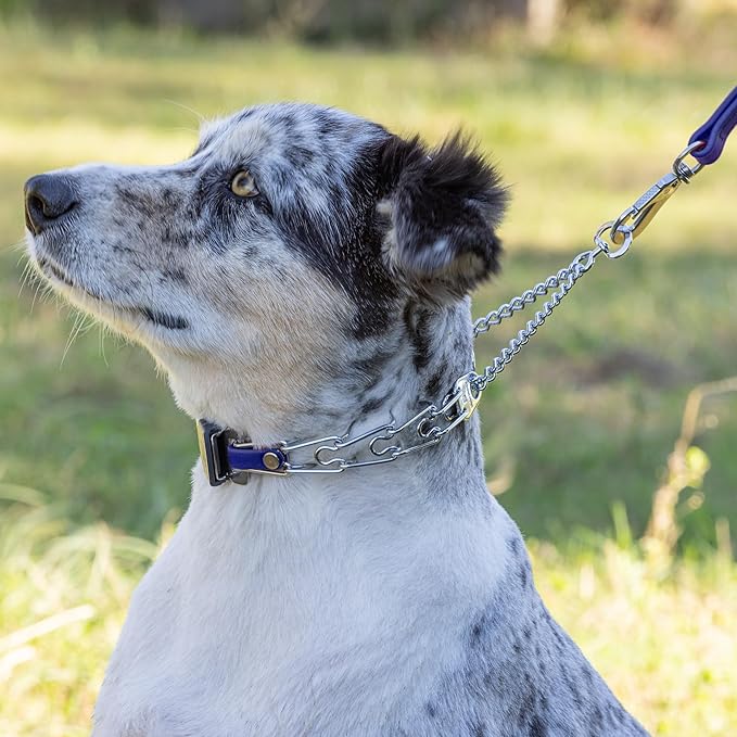 Herm Sprenger Chrome Plated Steel Dog Collar with Quick Release ClicLock Buckle and Biothane Insert Training Collar for Dogs Made in Germany (Blueberry Royal, 16in x 2.25mm(Neck Size up to 13-14in))