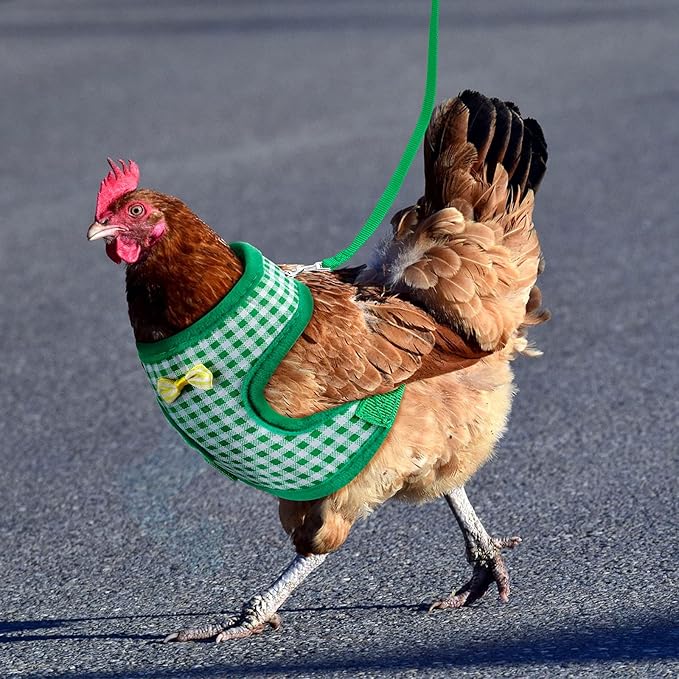 4 Pieces Adjustable Chicken Harness with Leash Elastic Comfortable Hen Pet Vest with Matching Belt Breathable Fruit Print Duck Harness Set for Chicken Duck Goose Training Walking
