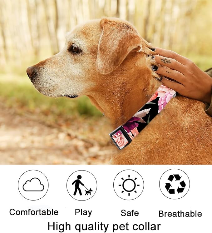 Dog Collar, Cute Dog Collar for Small Medium Large Dogs, Personalized Adjustable Soft Pet Collars with Quick Release Buckle for Walking Running, Black Red Floral