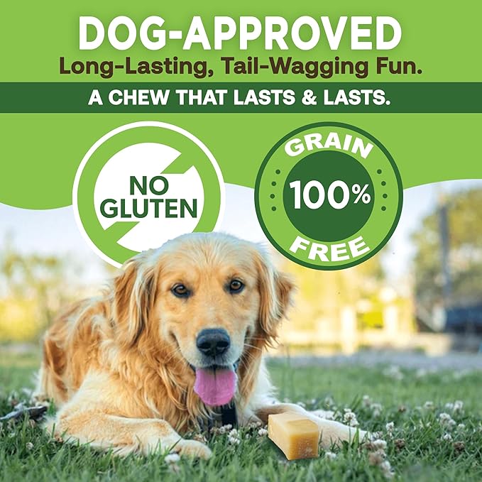 EcoKind Yak Cheese Chews | 1 Stick - 5 oz. | Healthy, Odorless, Rawhide-Free Dog Treats, Long-Lasting Dog Bones for Aggressive Chewers, Indoors & Outdoor Use, Made in The Himalayans
