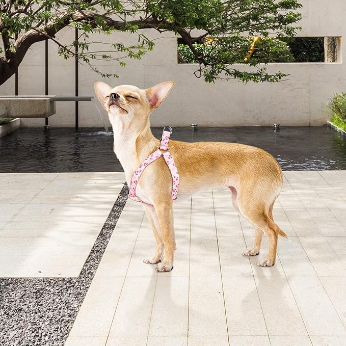 QQPETS Dog Harness Leash Set Adjustable Heavy Duty No Pull Halter Harnesses for Small Medium Large Breed Dogs Back Clip Anti-Twist Perfect for Walking (L(23"-32" Chest Girth), Sakura Pink)