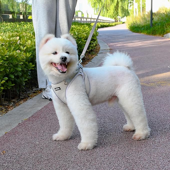 AIITLE Puppy Harness and Leash Set for Walking, Step in Dog Harness, Soft Breathable Pet Supplies, Reflective Bands, for Extra Small Dogs and House Cats Beige XXXS