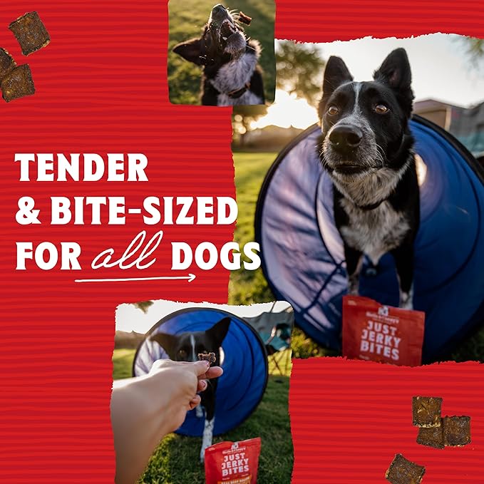 Stella & Chewy's Premium Chicken Jerky Dog Treats - 95% Real Meat Bites for Sensitive Stomachs - Natural Limited Ingredient Treats for Small and Large Dogs - No Grain, Wheat or Soy - 6 oz Bag