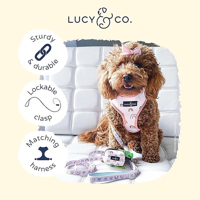 Lucy & Co. 5 Foot Designer Dog Leash - Best for Big, Small, or Medium Dogs - Puppy Leash - Cloud Pattern